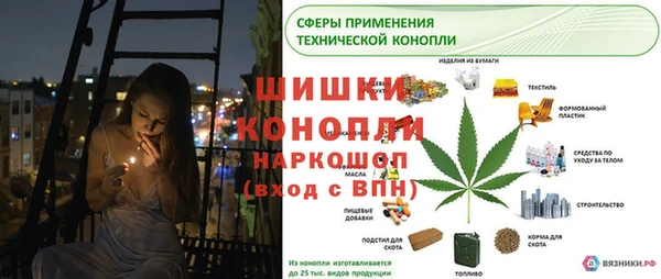 крисы Богородск