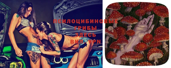 амф Богданович