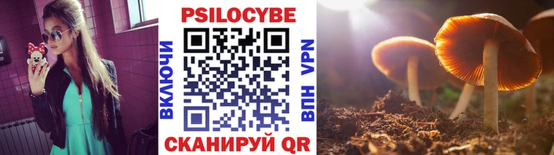 ссылка на мегу онион  закладка  Нестеров  Псилоцибиновые грибы прущие грибы 